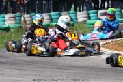 20110501_ales_agnus (3120)